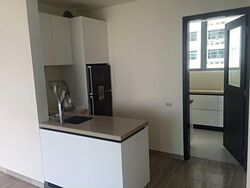 Lincoln Suites (D11), Condominium #569648491